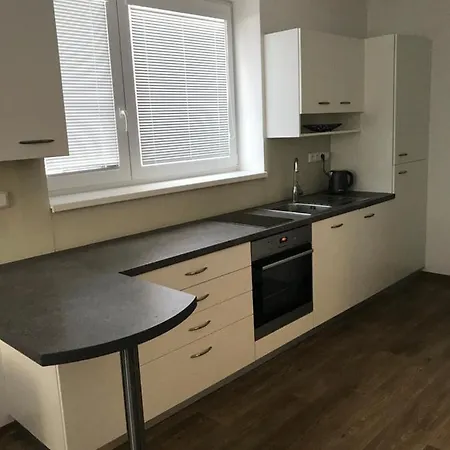 Na Modrinove Apartment Nove Mesto na Morave Exterior photo