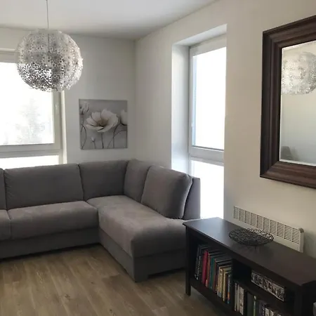 Na Modrinove Apartment Nove Mesto na Morave Exterior photo