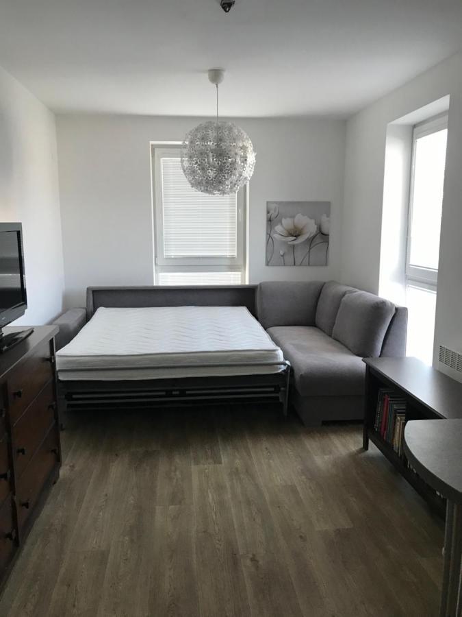 Na Modrinove Apartment Nove Mesto na Morave
